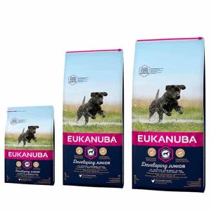 Eukanuba Developing Junior Large Hundefutter