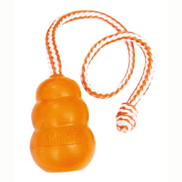 KONG Aqua mit Schaumstoff Kern